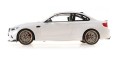 Minichamps-BMWM2-02.jpg