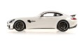 MERCEDES-AMG GT-R – 2021 – WHITE METALLIC_1.jpg