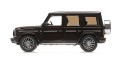 MERCEDES-BENZ G-CLASS (W 463) – 2020 – BROWN METALLIC3.jpg