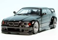 Minichamps BMW M3 GTR Coupé (E36) (1993)_2.jpg