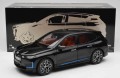 Minichamps  110023101 BMW iX.jpg