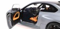 Minichamps  110023120 BMW M2 grey_5.jpg