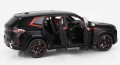 Minichamps 110023300  BMW XM Black_5.jpg