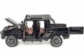 Almost Real ALM860521_6.jpg