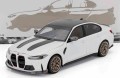 Minichamps_110023500.jpg