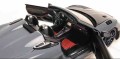 Minichamps 110063130_4.jpg