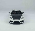 Minichamps 110063131_1.jpg