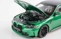 Minichamps 110020142_3.jpg