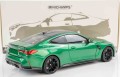 Minichamps 110020142_2.jpg