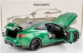 Minichamps 110020142_1.jpg