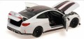 Minichamps 110023022_2.jpg
