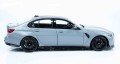 Minichamps 110023501_12.jpg