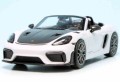 Minichamps 410063131_2.jpg