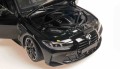 Minichamps 110020141_6.jpg