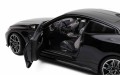 Minichamps 110020141_3.jpg
