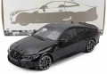 Minichamps 110020141.jpg
