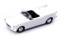 autocult_02021.jpg