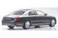 almost real_ ALM820106_4.jpg