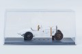 fahrtraum_43009_3.jpg